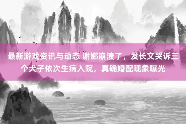 最新游戏资讯与动态 谢娜崩溃了，发长文哭诉三个犬子依次生病入院，真确婚配现象曝光