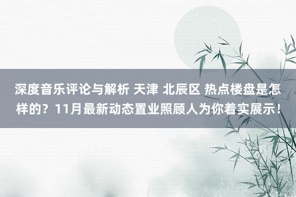 深度音乐评论与解析 天津 北辰区 热点楼盘是怎样的？11月最新动态置业照顾人为你着实展示！