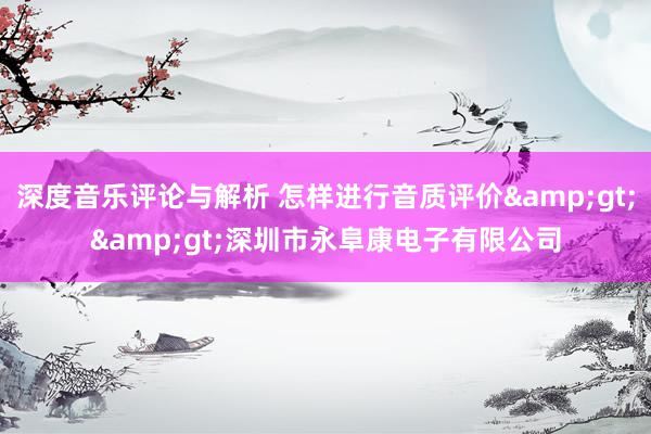 深度音乐评论与解析 怎样进行音质评价&gt;&gt;深圳市永阜康电子有限公司