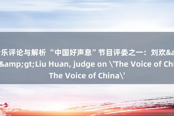 深度音乐评论与解析 “中国好声息”节目评委之一：刘欢&lt;br/&gt;Liu Huan, judge on 